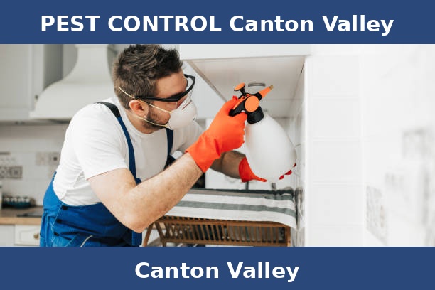 PEST CONTROL Canton Valley